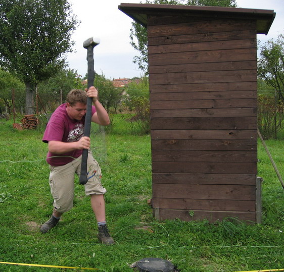  anxious about the bog-house stableness 