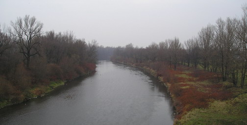 Odra