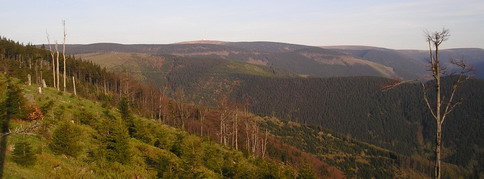 Rozhled